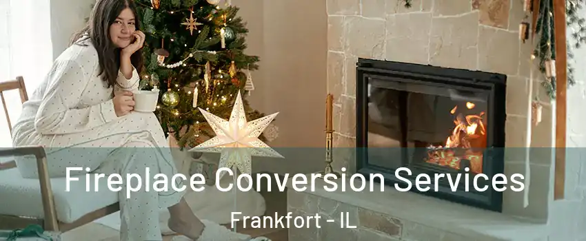  Fireplace Conversion Services Frankfort - IL